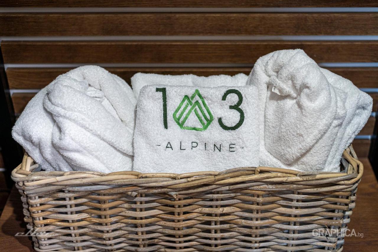 103 Alpine Hotel Panichishte Ngoại thất bức ảnh